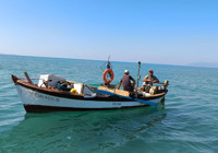 soke-de-su-urunleri-denetimlerinde-814-islem-gerceklesti