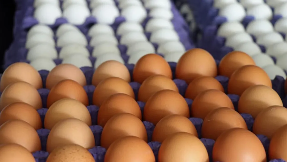 yumurta-fiyatlarinda-cazip-indirimler