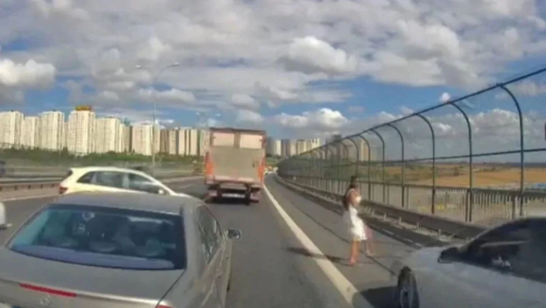 otoyolda-kedi-kurtarma-kafasina-carpti