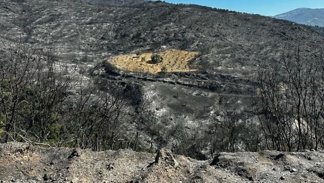 yanginda-esek-mucize-gibi-kurtarildi