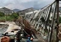 hortum-seralarda-hasara-neden-oldu