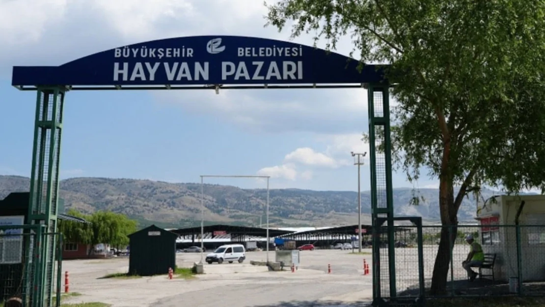 hayvan-pazari-sap-hastaligi-nedeniyle-kapali-kaldi