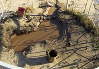 sifali-camur-hastalara-umut-olmaya-devam-ediyor