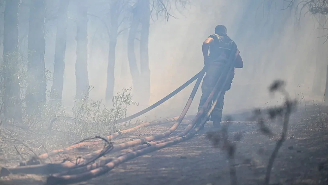orman-yanginlarinin-yuzde-90-i-insan-kaynakli