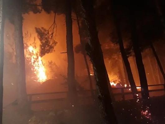 Tarihi kale civarında orman yangını! Tarihi kale civarında orman yangını!