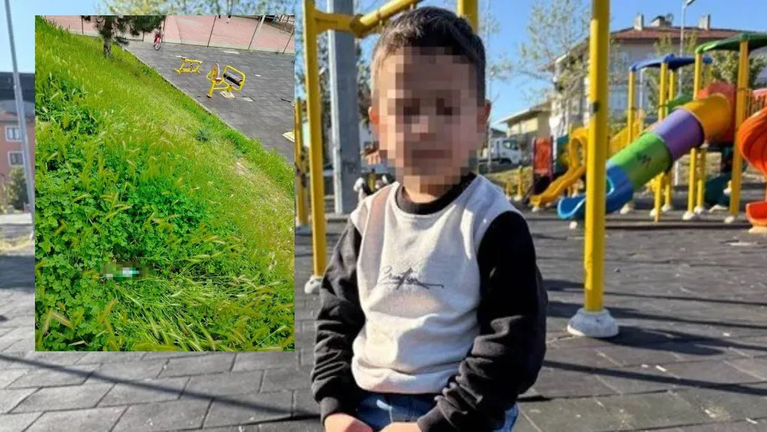 o-a-parkta-alkol-icip-fenalasti