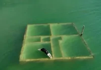 yusufeli-baraji-nda-anilar-yeniden-gorunuyor