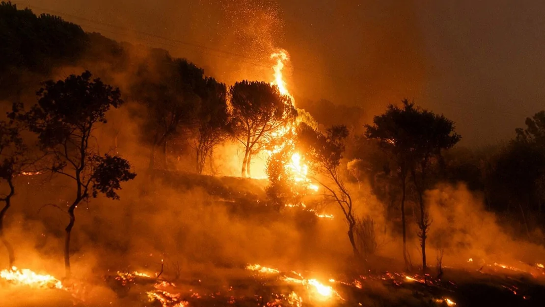 bakan-tunc-orman-yanginlari-icin-39-tutuklama