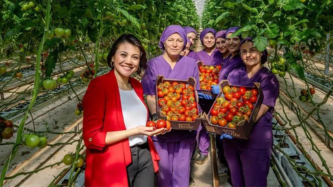 jeotermal-enerjiyle-teknolojik-devasa-sera-insasi