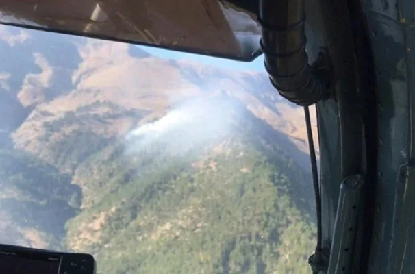 Adana’da orman yangını Adana'da orman yangını