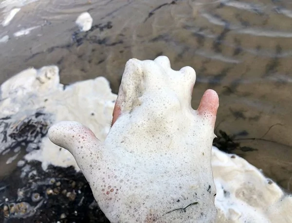 Eğirdir Gölü köpürüyor! Eğirdir Gölü köpürüyor!