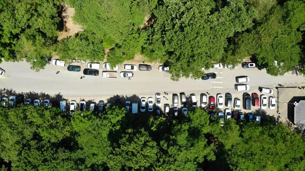 Belgrad Ormanı’na akın ettiler!