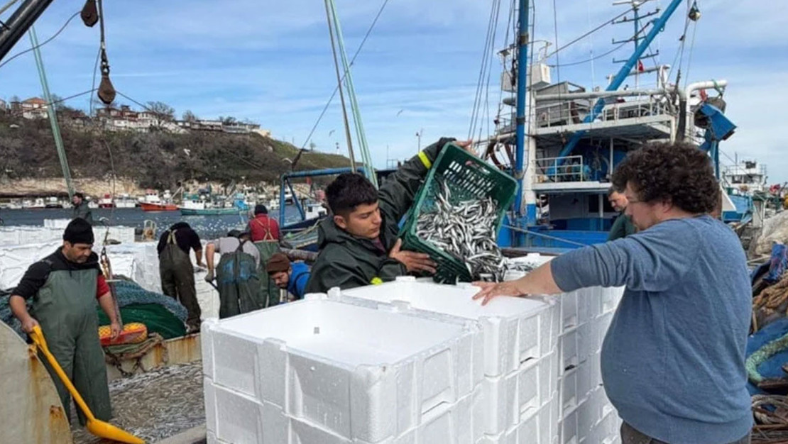 kiyikoylu-balikcilardan-30-ton-hamsi-avi-basariyla-gerceklesti