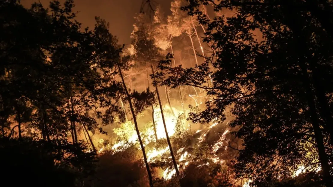 suriye-yanginlar-icin-ab-den-yardim-istedi