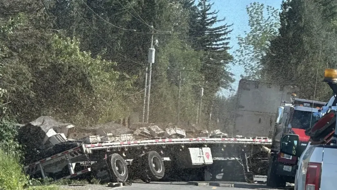 250-milyon-ari-kacti