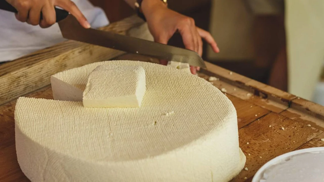 tarim-ve-orman-bakanligi-hileli-peynir-markalarini-acikladi