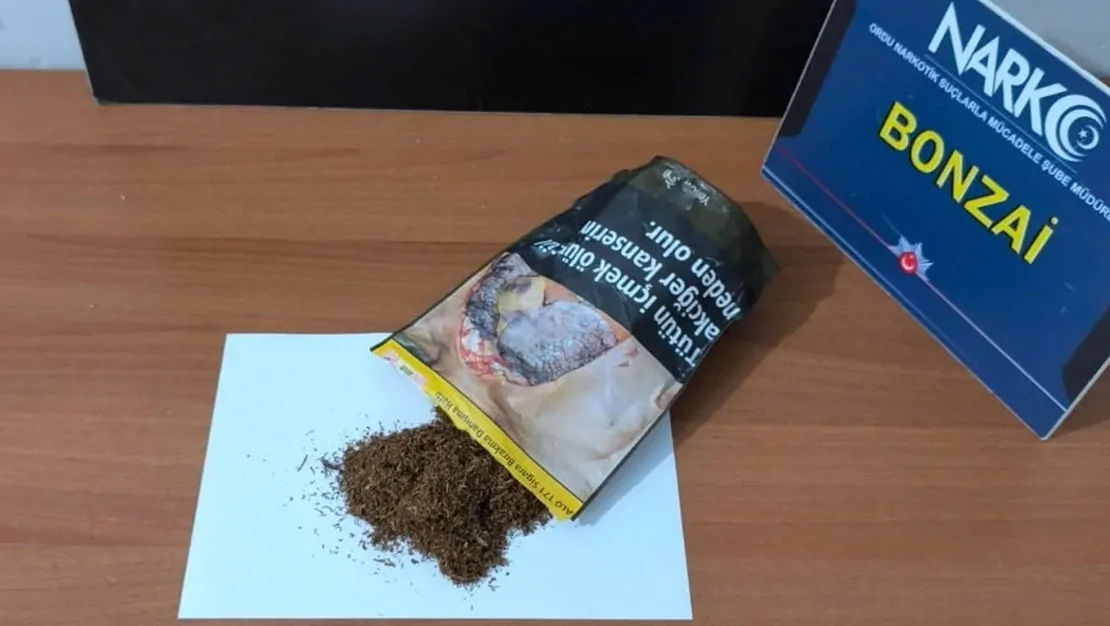 ordu-da-uyusturucu-operasyonu-gerceklesti