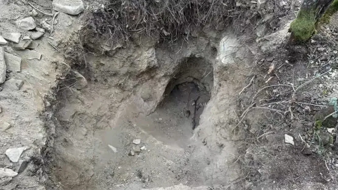 define-avcilari-fotokapanla-sucustu-yakalandi