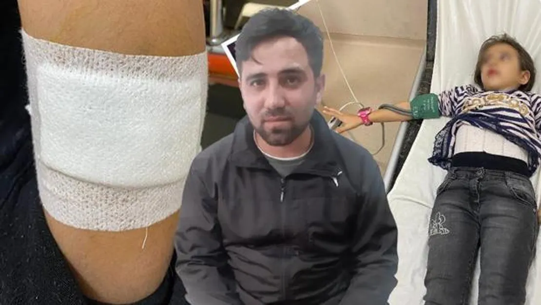 okulda-beslenen-kopekler-saldirdi-sikayetci-oldular