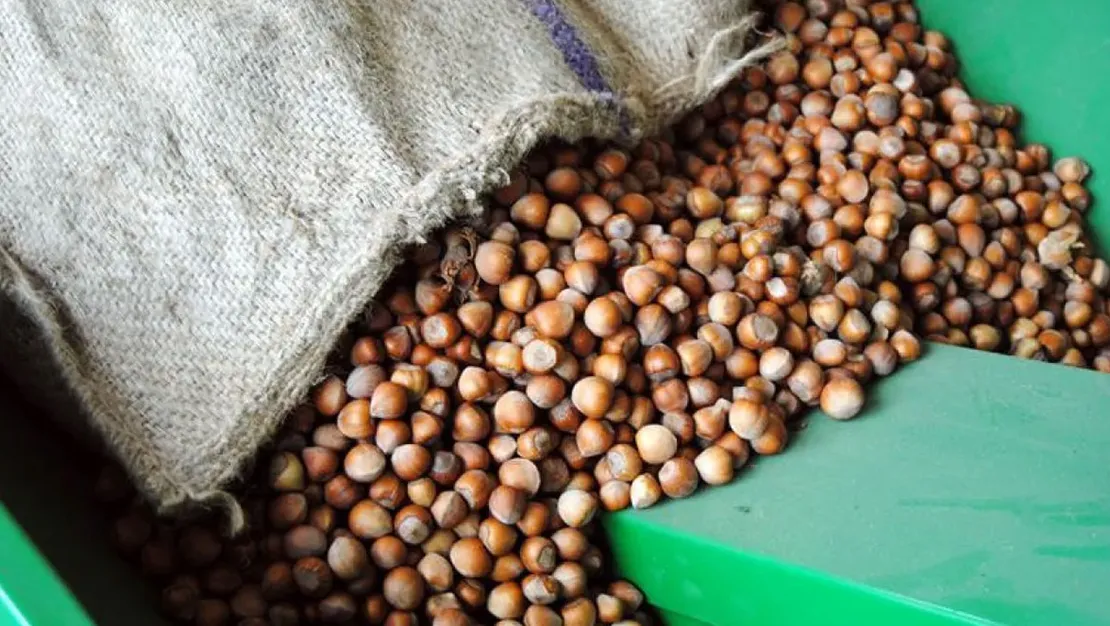 ferrero-turkiye-de-findik-almayacak