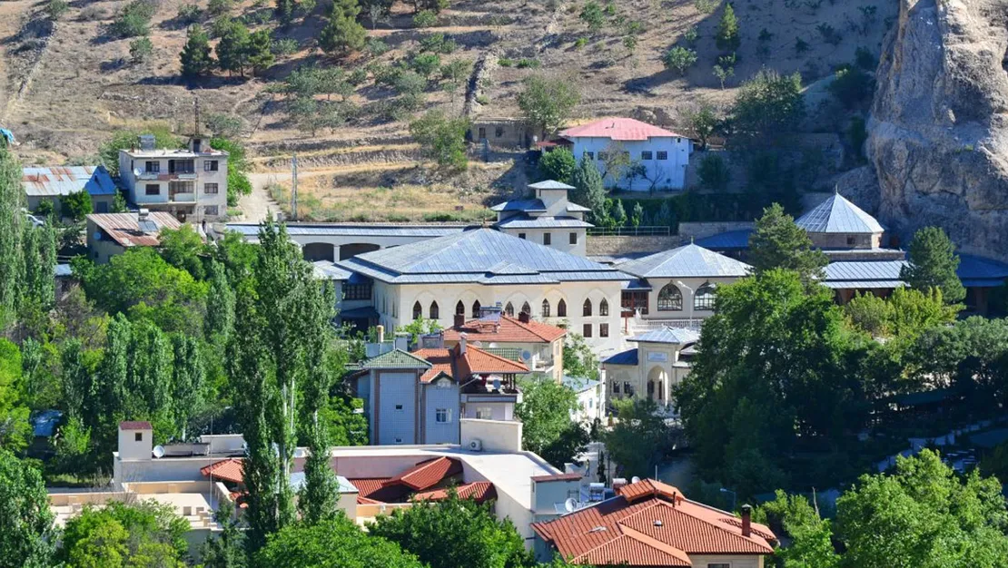 kara-leylek-malatya-da-goruldu