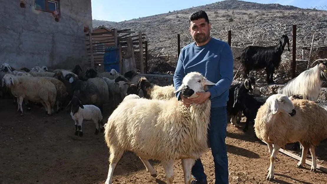 hayvancilik-destekleri-depremzedelere-umut-oldu