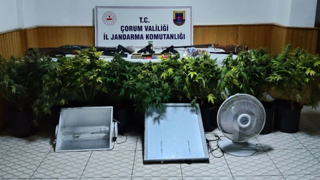 corum-da-uyusturucu-bitki-yetistiren-4-supheli-yakalandi