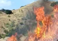 yangin-makilige-sicradi-112-bildirildi