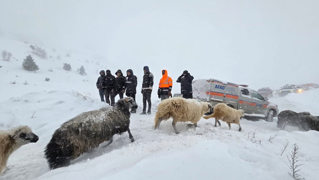 artvin-de-cig-faciasi-bir-cobanin-cansiz-bedeni-bulundu