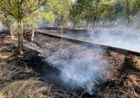 yangin-tekirdag-ormani-na-sicradi