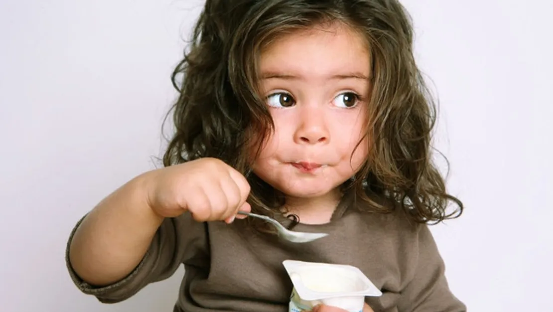 hilesiz-sut-ve-yogurdu-nasil-anlariz