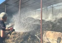 adana-daki-ahir-yangininda-5-inek-oldu