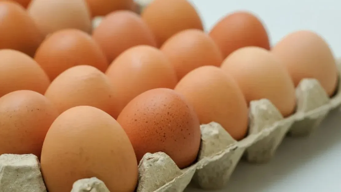 yumurta-uretimi-azalacak-sebep-maliyetlerdir