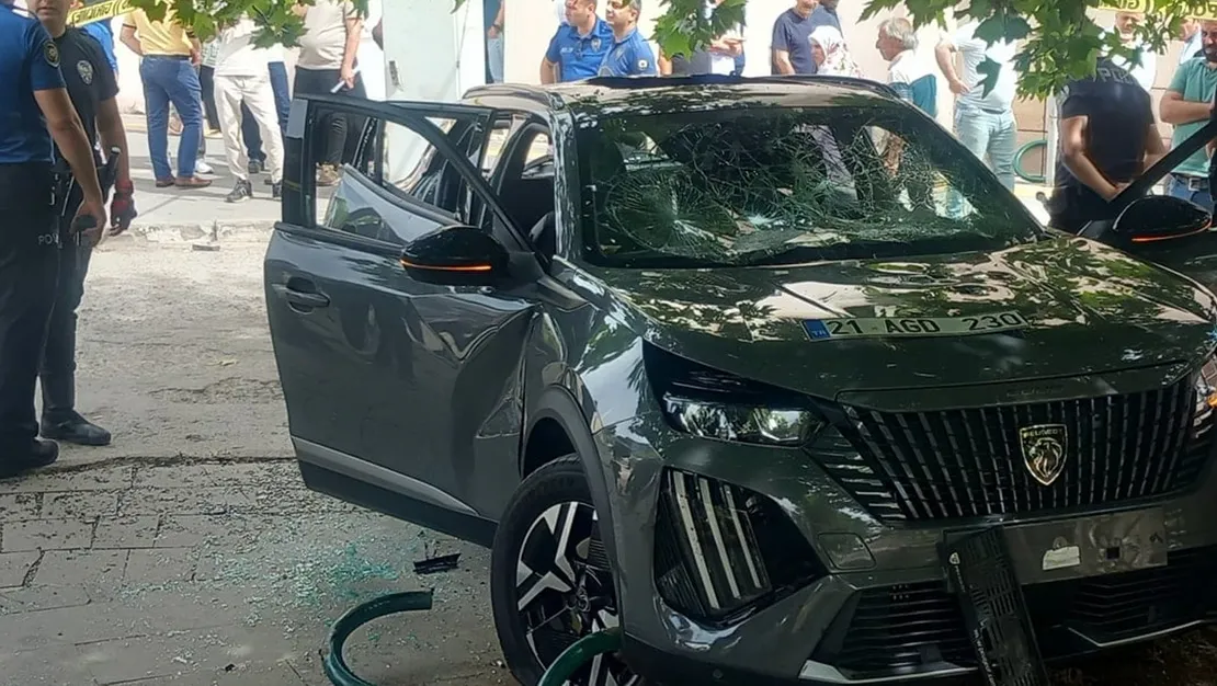 cip-hastane-bahcesine-daldi