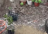 artvin-de-dolu-tarim-alanlari-zarar-gordu