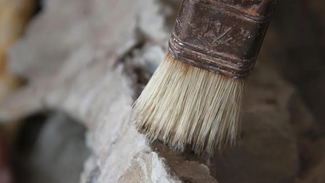 teknede-tarihi-eser-niteliginde-tabaklar-bulundu