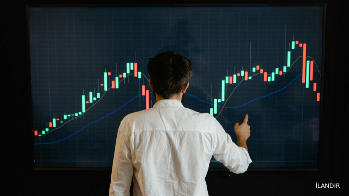 kripto-balinalarinin-piyasa-dinamiklerindeki-rolu
