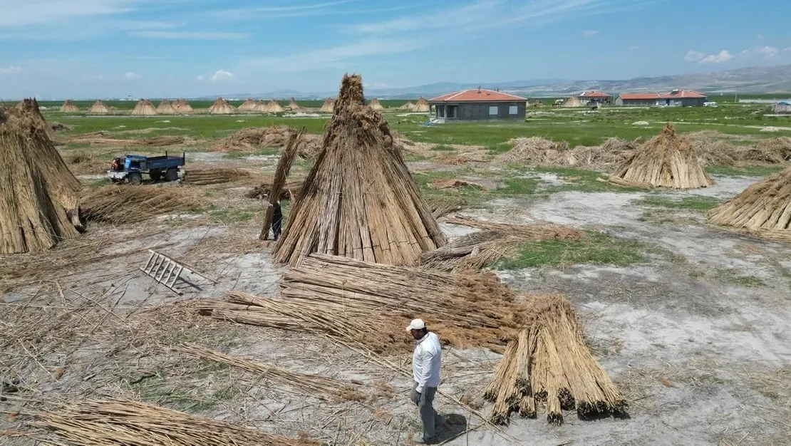 eber-golu-nde-hasat-donemi-basladi