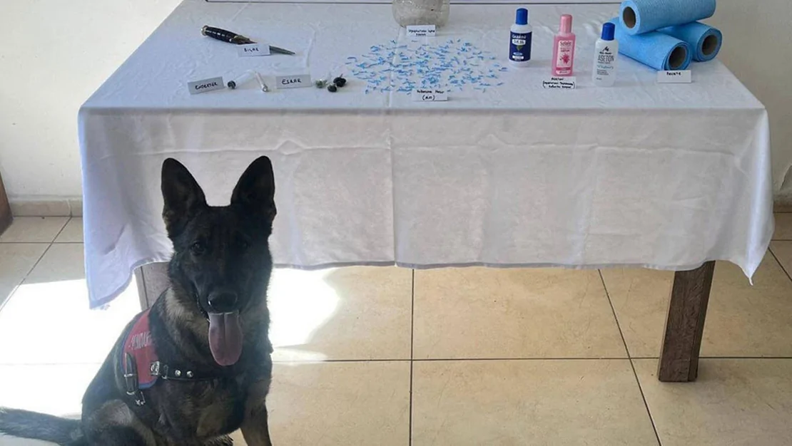 uyusturucu-operasyonu-sonrasi-gozaltilar