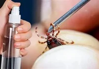 kene-tehdidi-artiyor-dikkat