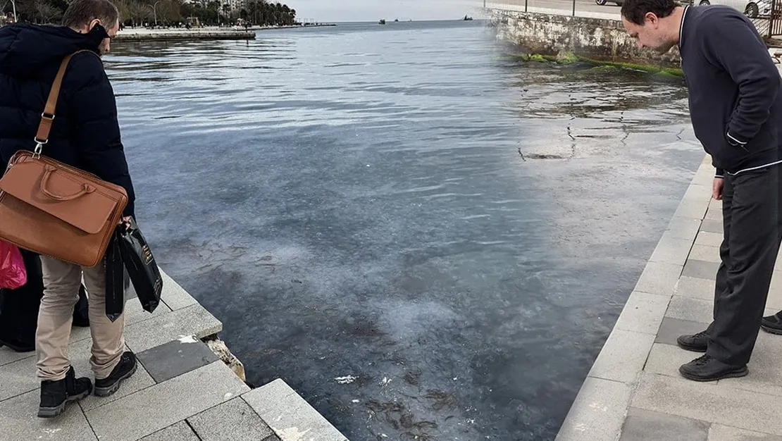 karadeniz-de-denizanasi-artisi-sebepleri-aciklandi