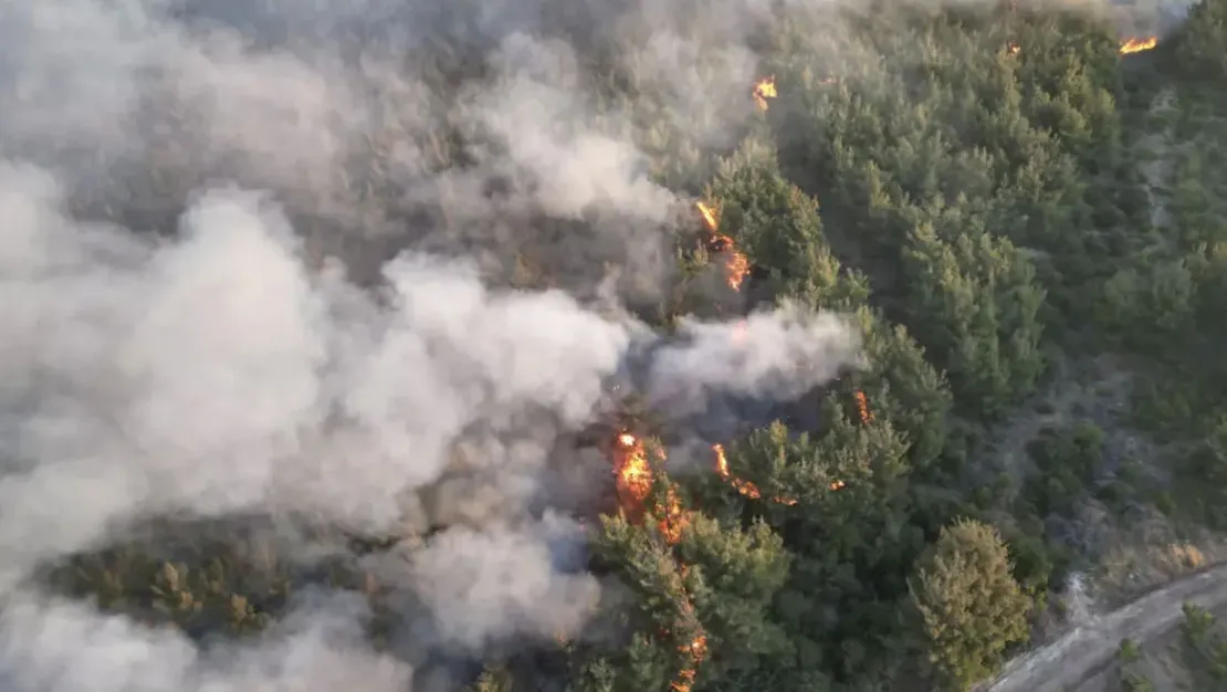 i-y-uyardi-orman-yanginlarina-karsi-dikkat