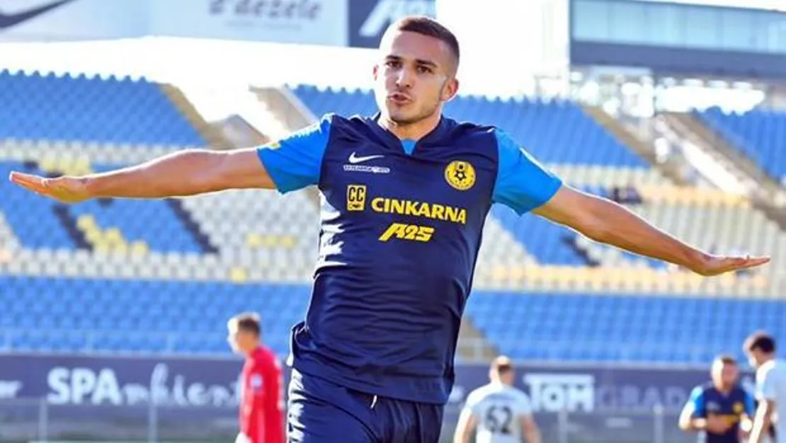 basaksehir-ivan-brnic-ile-anlasti