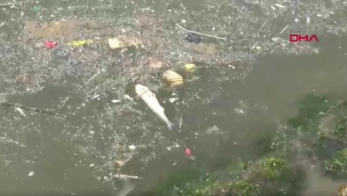 izmir-korfezi-kirlilik-sorusturmasi-baslatildi