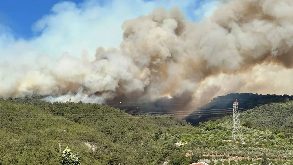 son-durumu-bakan-yumakli-acikladi