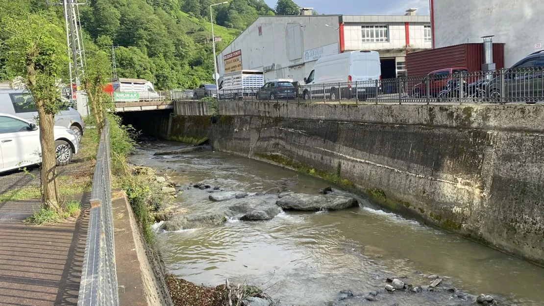 rize-de-derenin-kenarinda-baliklar-olmus