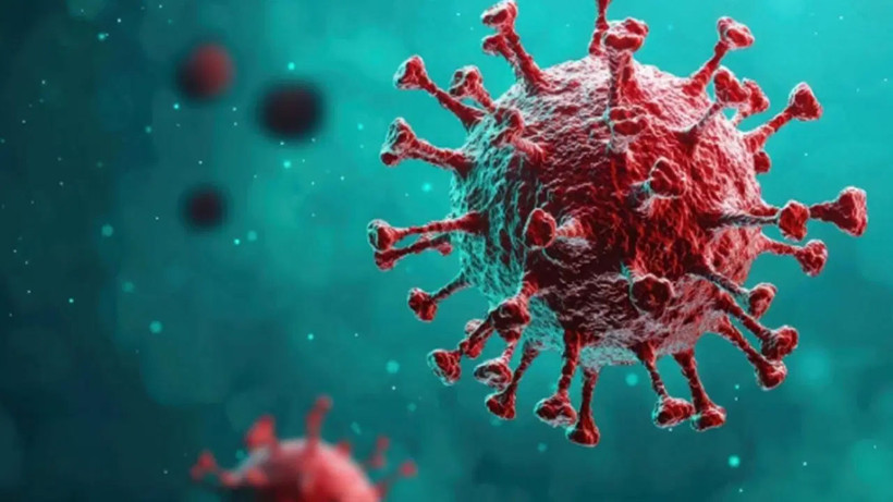 hantavirus-vaka-sayisi-artabilir-dso-aciklama-yapti