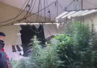 yenikoy-mahallesinde-uyusturucu-imalati-operasyonu