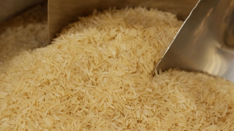 pirincin-ustundeki-kedi-diskisi-ile-ilgili-denetim