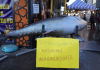 dev-orkinos-baligi-erzincan-da-vatandaslarin-ilgisini-cekti